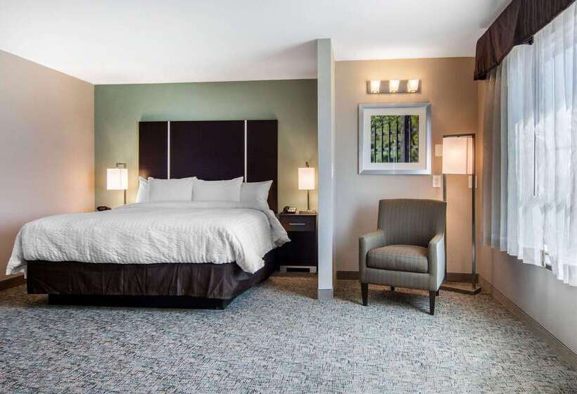 هتل Clarion Inn & Suites Atlanta Downtown