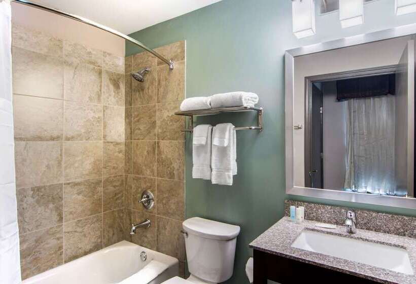 فندق Clarion Inn & Suites Atlanta Downtown