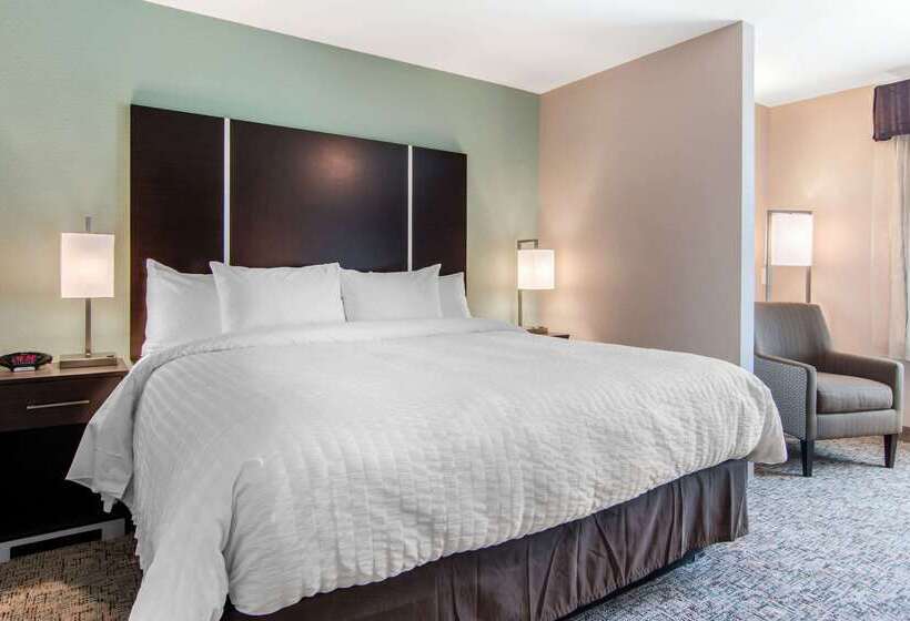 فندق Clarion Inn & Suites Atlanta Downtown