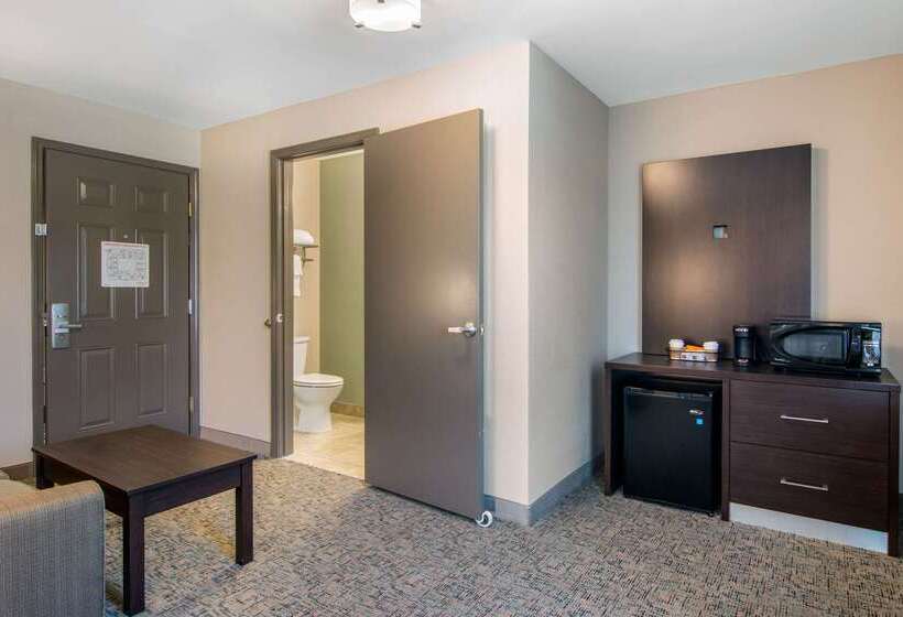 فندق Clarion Inn & Suites Atlanta Downtown
