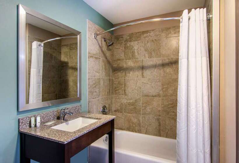 فندق Clarion Inn & Suites Atlanta Downtown