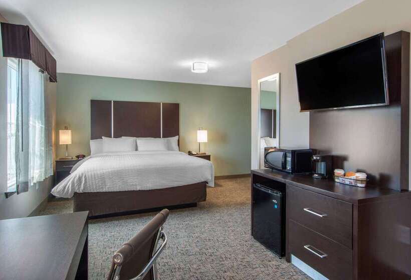 فندق Clarion Inn & Suites Atlanta Downtown