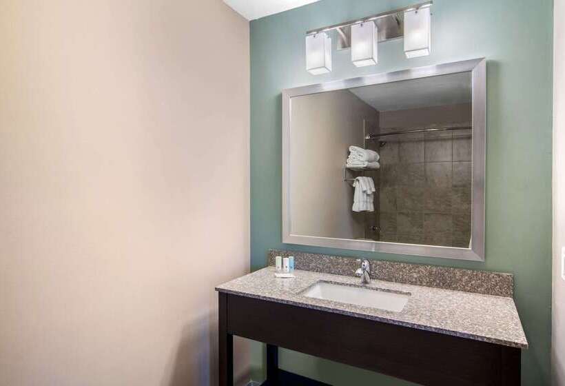 هتل Clarion Inn & Suites Atlanta Downtown
