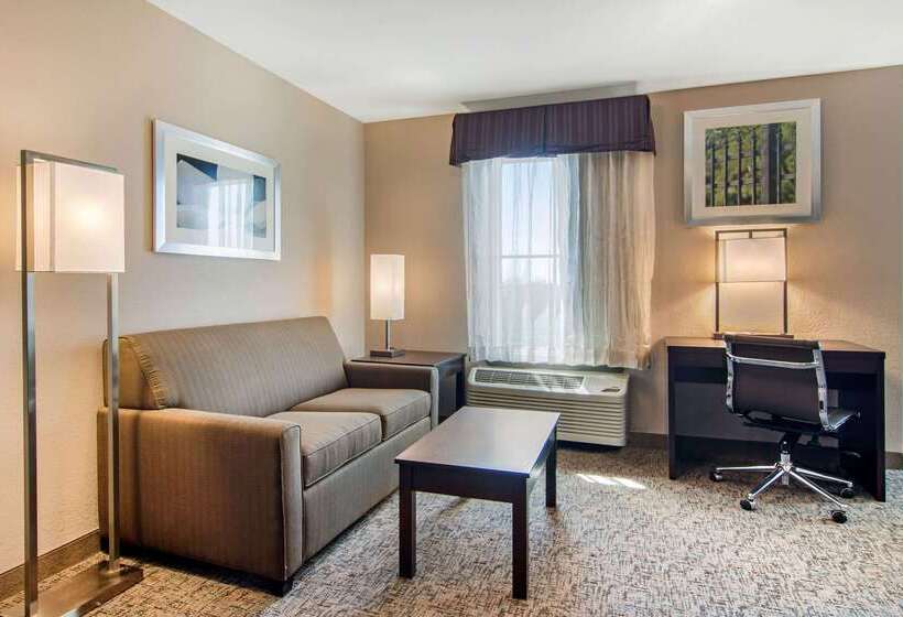 فندق Clarion Inn & Suites Atlanta Downtown