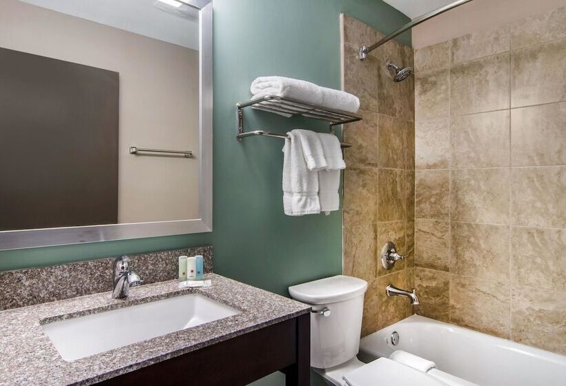 فندق Clarion Inn & Suites Atlanta Downtown