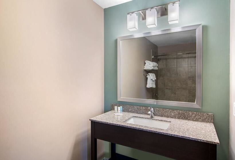 هتل Clarion Inn & Suites Atlanta Downtown