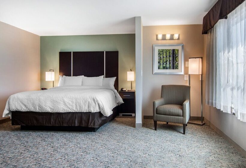 فندق Clarion Inn & Suites Atlanta Downtown