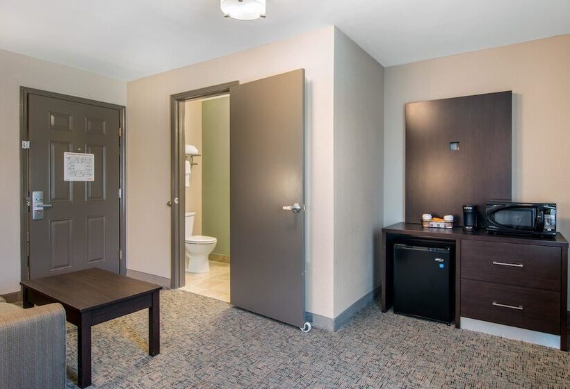 هتل Clarion Inn & Suites Atlanta Downtown