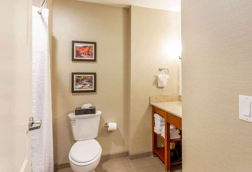 فندق Comfort Inn & Suites Logan Near University