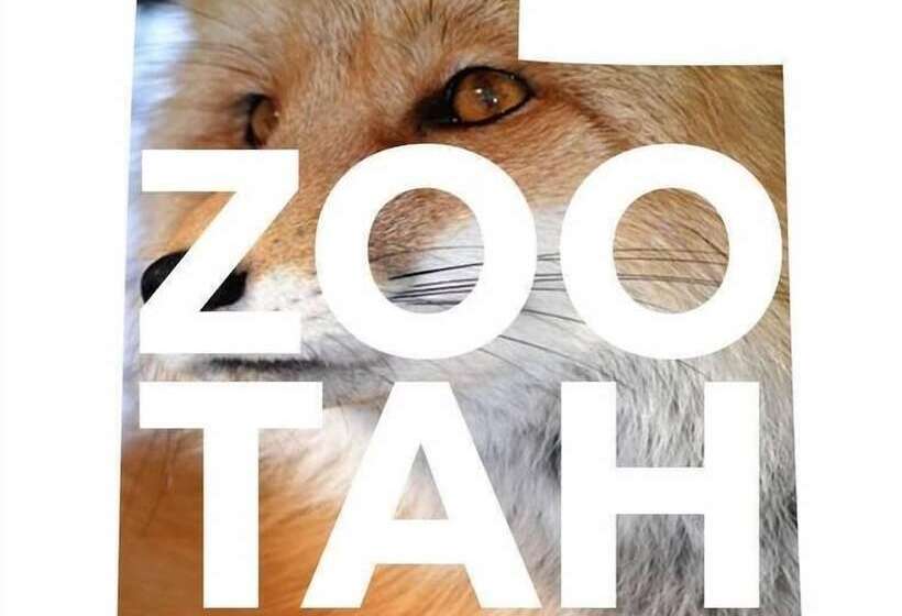 فندق Comfort Inn & Suites Logan Near University