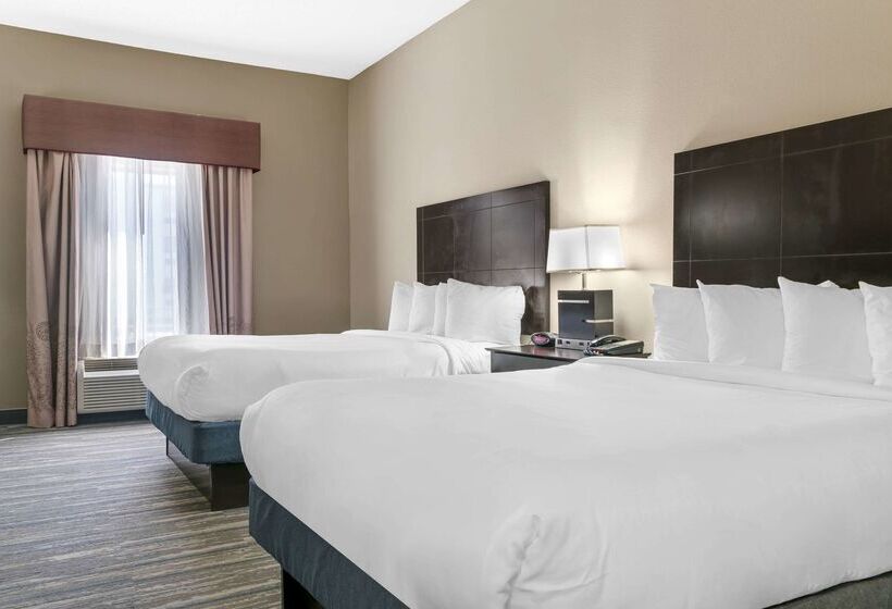 ホテル Comfort Inn & Suites