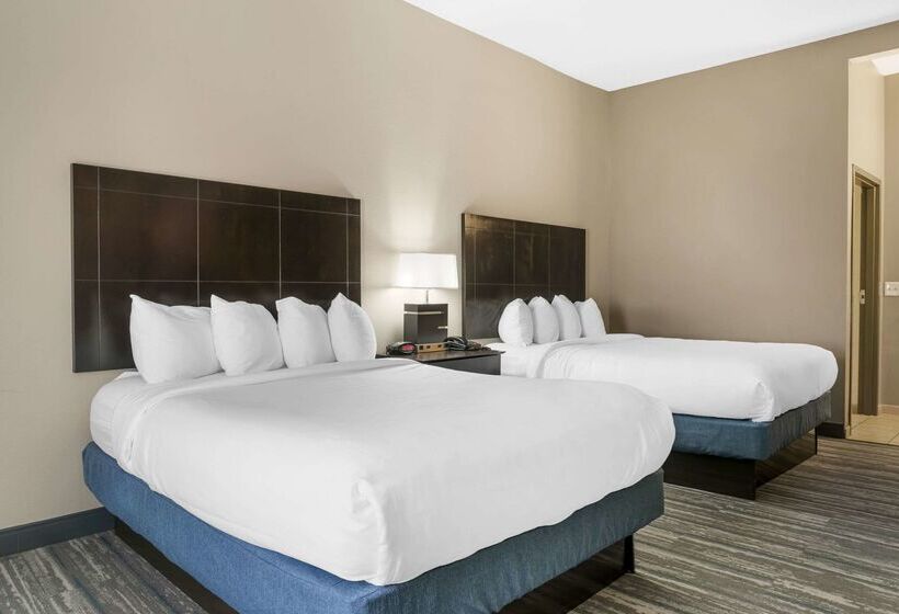 ホテル Comfort Inn & Suites