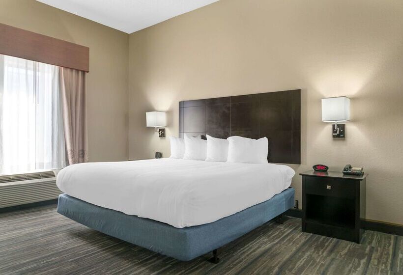 ホテル Comfort Inn & Suites