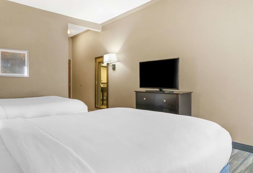 ホテル Comfort Inn & Suites