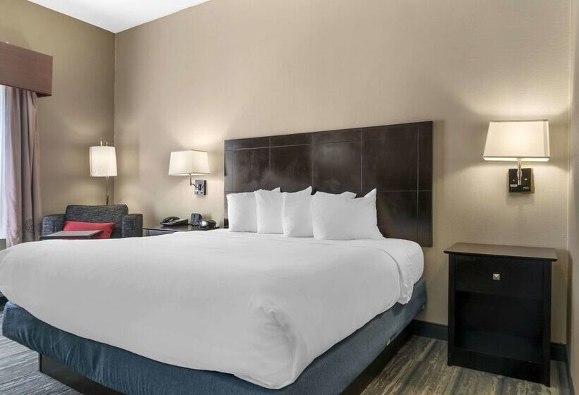 ホテル Comfort Inn & Suites