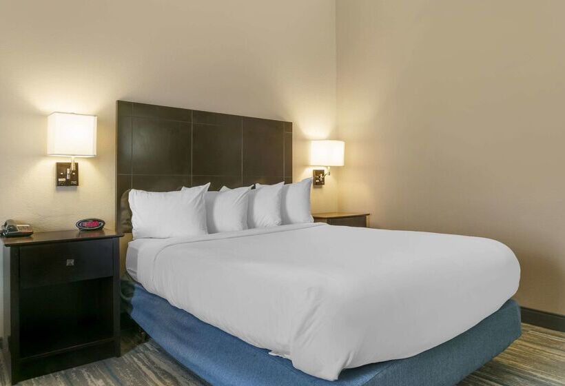 ホテル Comfort Inn & Suites