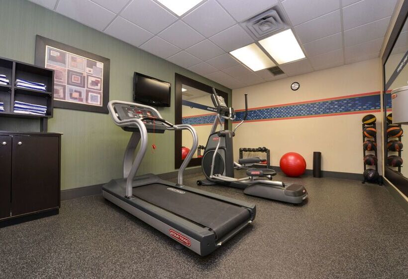 ホテル Comfort Inn & Suites