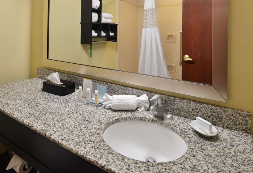 ホテル Comfort Inn & Suites