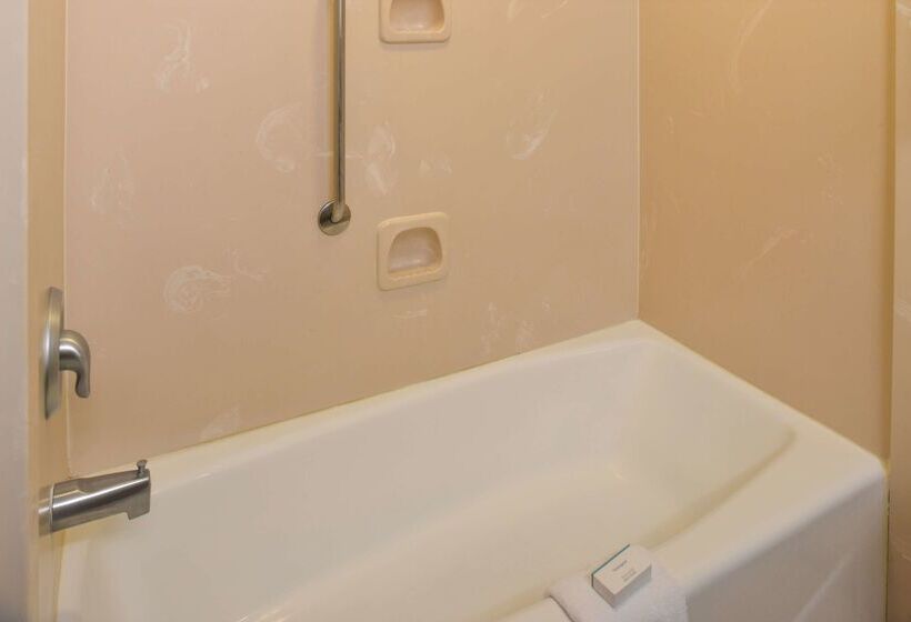 ホテル Comfort Inn & Suites