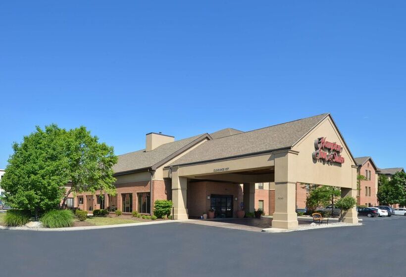 ホテル Comfort Inn & Suites