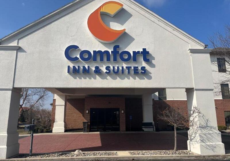 ホテル Comfort Inn & Suites