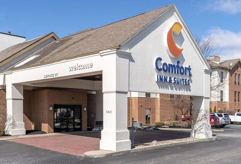 ホテル Comfort Inn & Suites