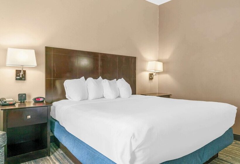 ホテル Comfort Inn & Suites