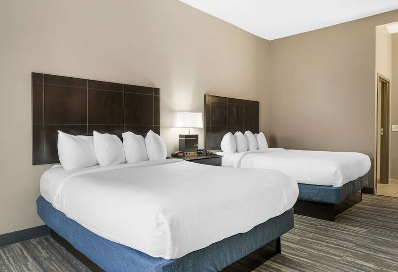 ホテル Comfort Inn & Suites