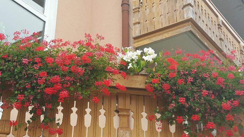 בית מלון כפרי Dolomiti