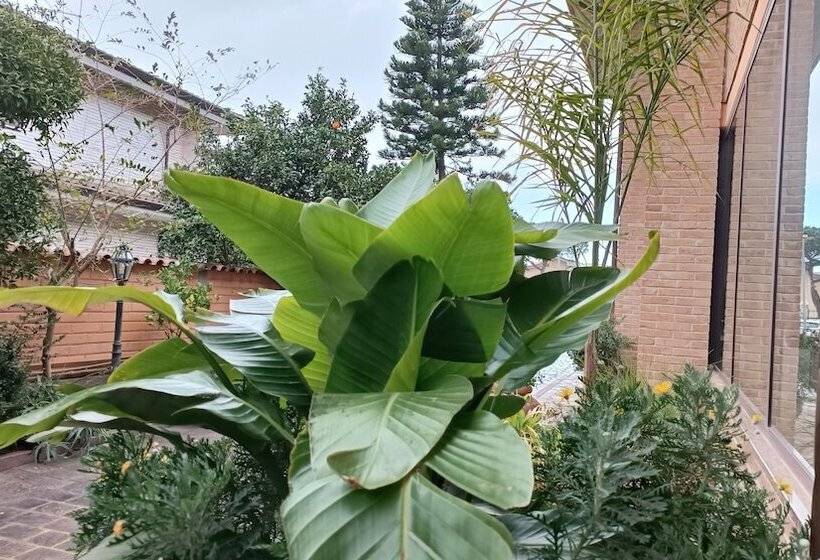 호텔 Euro House Inn Airport