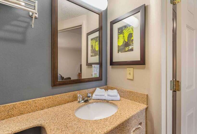 酒店 Extended Stay America Suites Chesapeake Greenbrier Circle