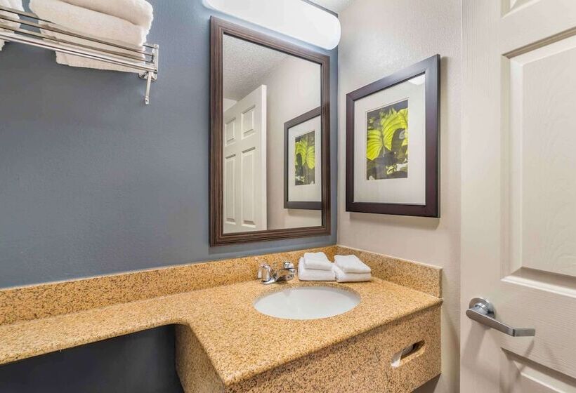 酒店 Extended Stay America Suites Chesapeake Greenbrier Circle