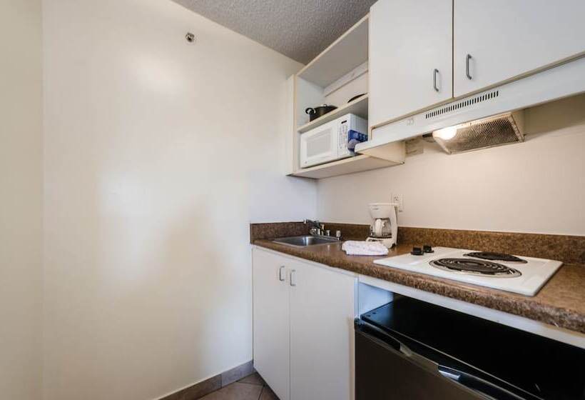 فندق Tampa Bay Extended Stay