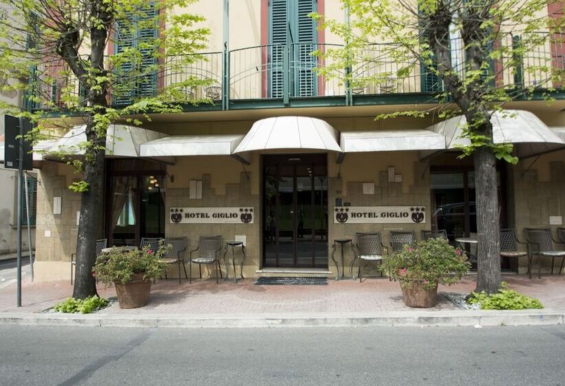 Отель Giglio