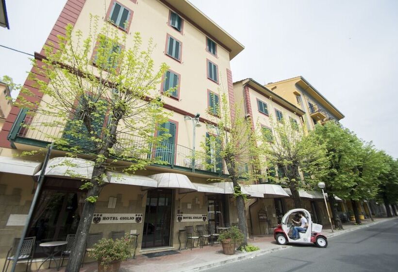 Отель Giglio