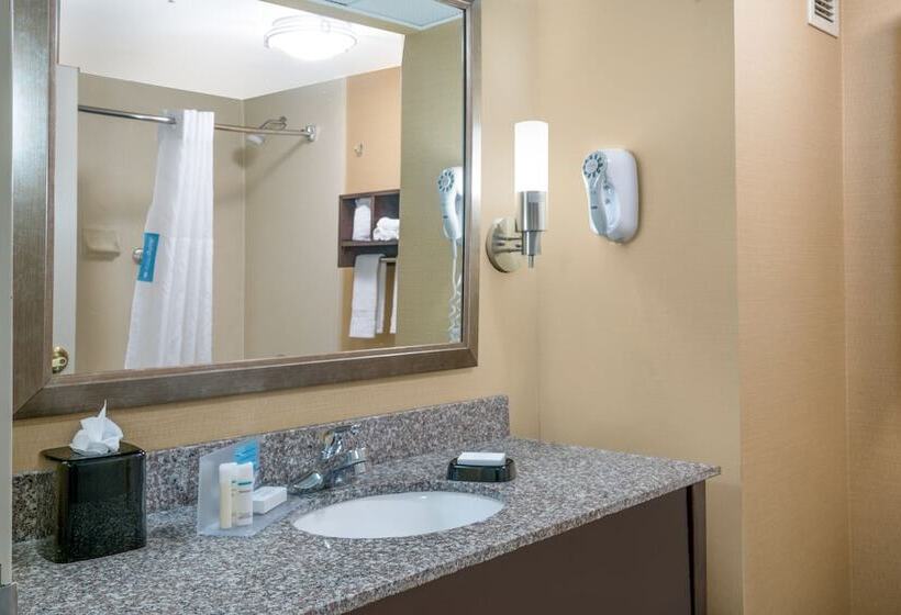 ホテル Hamilton Inn Birminghambessemer