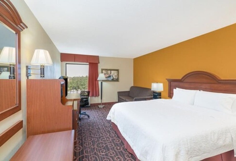 ホテル Hamilton Inn Birminghambessemer