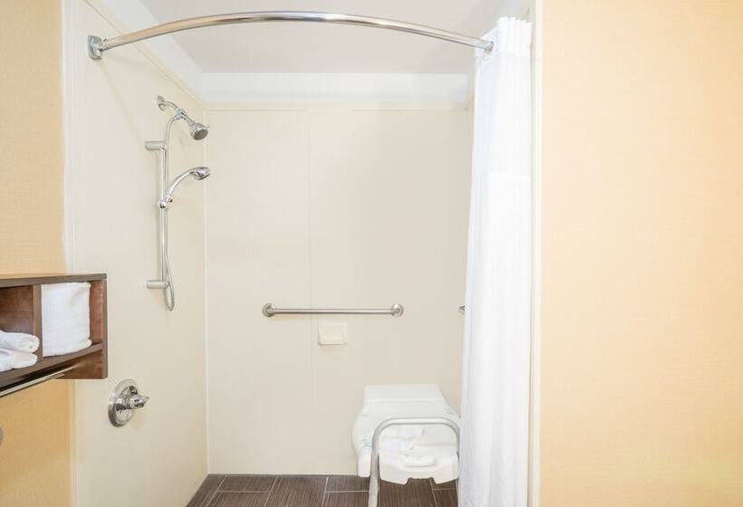 ホテル Hamilton Inn Birminghambessemer