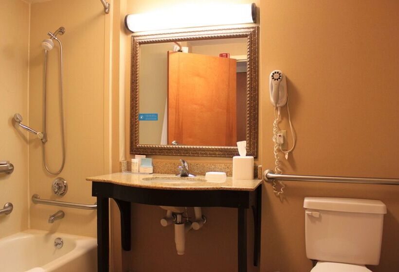 فندق Hampton Inn Americus