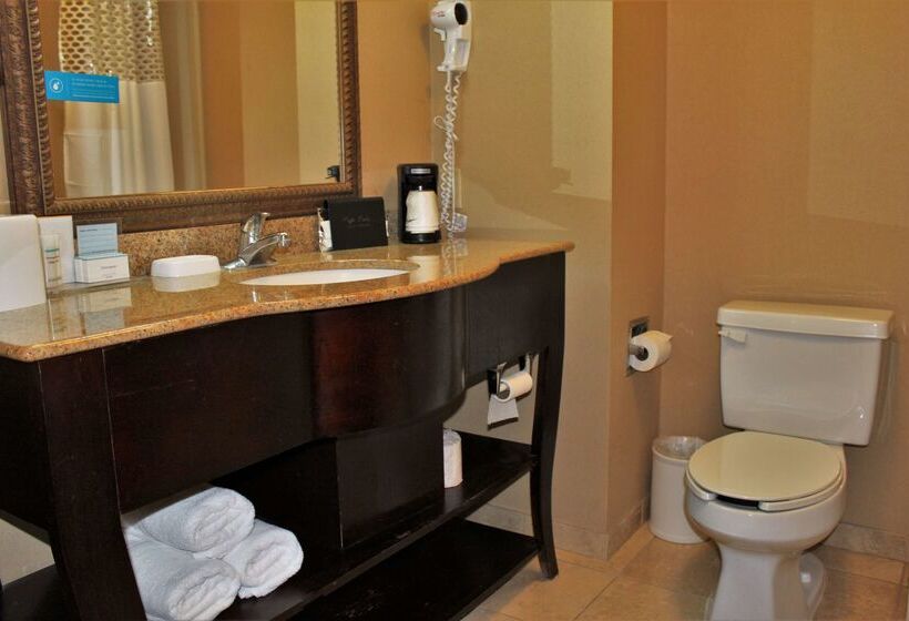 فندق Hampton Inn Americus