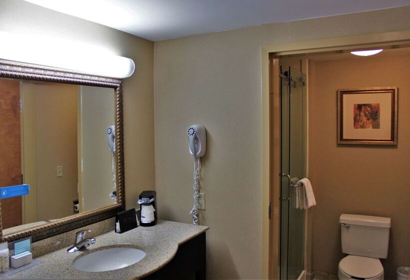 فندق Hampton Inn Americus