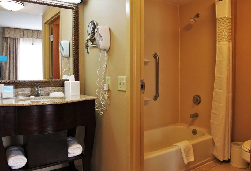 فندق Hampton Inn Americus