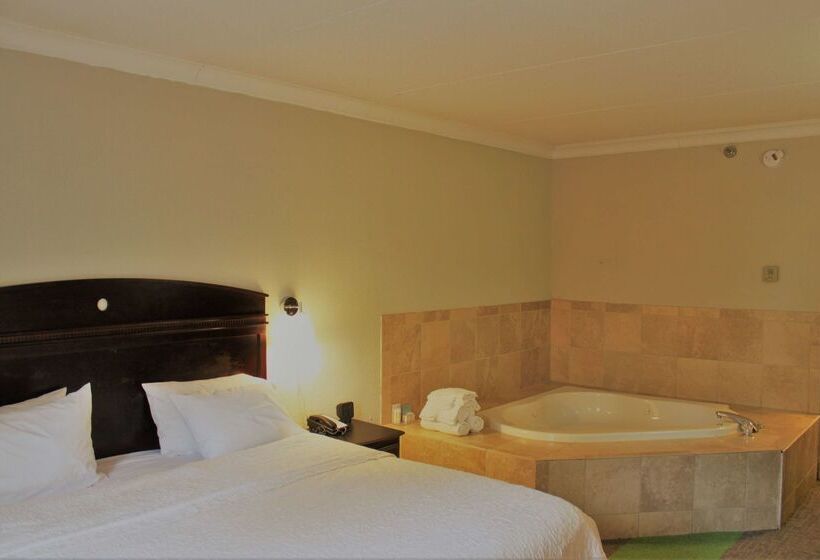 فندق Hampton Inn Americus