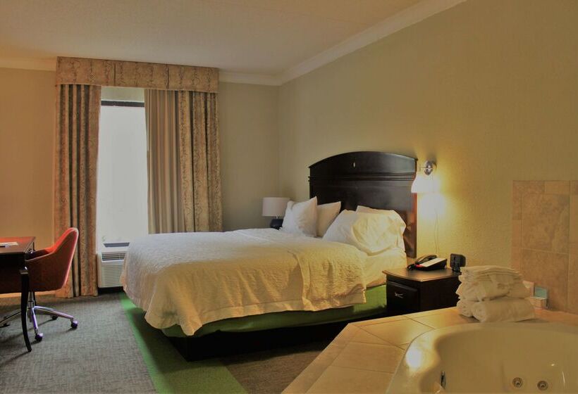 فندق Hampton Inn Americus