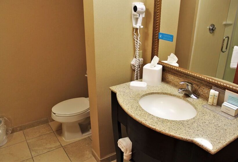 فندق Hampton Inn Americus