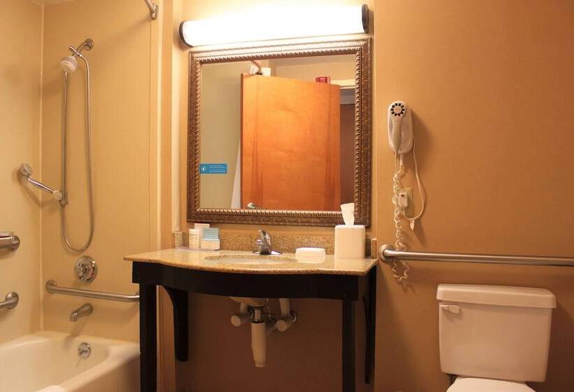 فندق Hampton Inn Americus