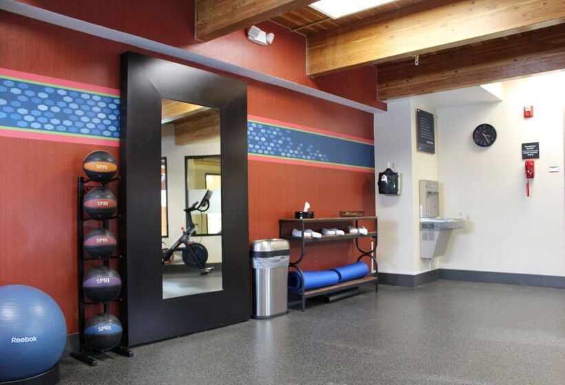 Southshore Hotel On Lake Bemidji, Trademark Coll By Wyndham