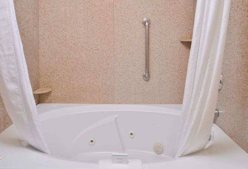 בית מלון כפרי Hampton Inn & Suites Boise Meridian