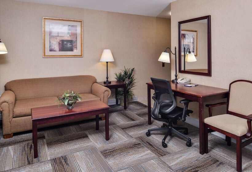 בית מלון כפרי Hampton Inn & Suites Boise Meridian
