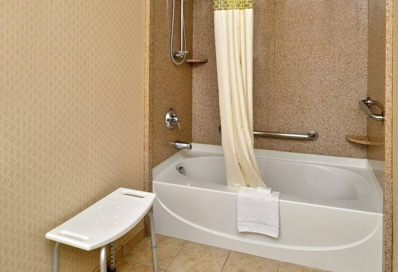 בית מלון כפרי Hampton Inn & Suites Boise Meridian